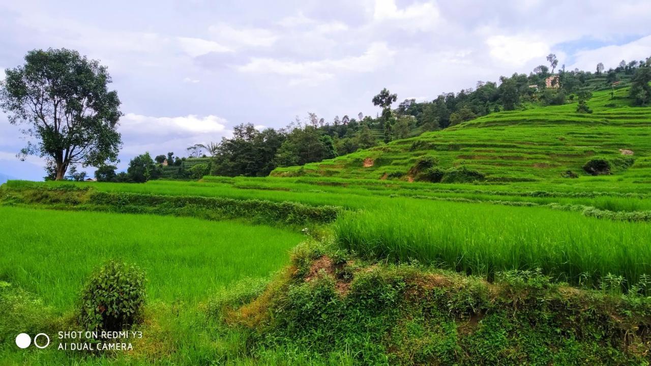 Patlekhet Eco Farmhouse Dhulikhel Exteriör bild